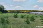 Vand pamant Tg Frumos, Razboieni - 3