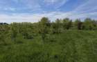 Teren intravilan 664 mp – Peris, Ilfov | Locatie linistita, ideal pentru casa - 5