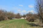 Teren intravilan Măgurele langa padurea Cornetu si Arges - 7