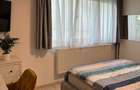 Apartament cu 3 camere decomandat în Gheorgheni - 14