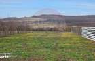 De vanzare teren intravilan 1,186mp Ineu -Strada Principala - 7