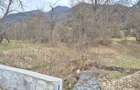 Teren agricol extravilan de 11300 mp, în Cheișoara - 10