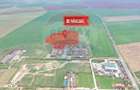 Teren intravilan 3.2 ha | Ortisoara | Zona industriala/agrozootehnica - 3