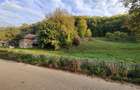 Casa de vanzare cu gradina teren de aprox 7000 mp,6.5 euro mp - 5