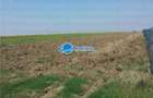 Teren Intravilan Herasti Giurgiu 2 HA - 6