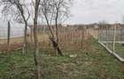 Casă cu 4 camere în Caracal - 6
