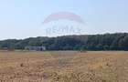 Teren Construcții intravilan de 650 mp, în Ghermănești - 4