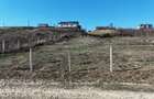 Teren intravilan 900 mp zona Hanul Pescarilor, Saldabagiu de Munte - 5