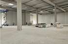 Spațiu industrial, de 3,500 mp, în Vest - 1
