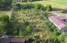 Vila superba 400 m2 cu 5000m2 teren Roznov - 10