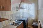 Apartament cu 2 camere de inchiriat in zona Malu Rosu - 6