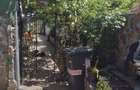 Inchiriez ap la casa pt 1 pers cu 1 catel sau o pisica - 3
