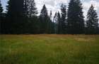 Teren de vanzare - com. Saru Dornei, jud. Suceava - 1
