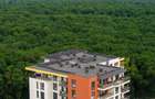 Apartament cu 3 camere decomandat în Lipovei - 3