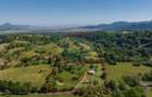 Teren intravilan de 5495 mp, în Bran - 30