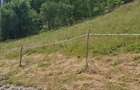 Teren de 8000 mp, în Arieșeni - 1