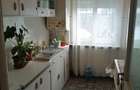 Inchiriez apartament 2 camere et 4 cu acoperis. Baia-Mare zona Albina. Mobilat si utilat - 4