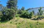 Apartament cu 3 camere decomandat în Drumul Poienii - 20