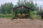 Casa 294 mp, vand sau schimb cu apartament, , cu posibilitatea achitari si in doua transe - 4