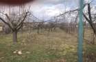 Casa cu imbunatatiri, curte + livada Drajna de Jos / Prahova! - 15