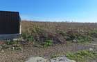 Teren 700m2 intravilan Catamaresti Deal - 3