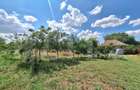 Casă cu 3 camere cu Teren 4600 Mp în Plopi - 7