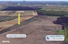 Antony Estate | Oportunitate de investitie - Teren Cihei, langa Padure - 1