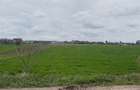 Teren intravilan, Izvorani, 2600 mp