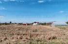 Ferma 3,3ha, din care 2,5ha intravilan, vila 7 camere, D+P+E+M, casa p - 2