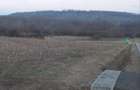 Vand parcela teren 800 m cu 10000 lac Surduc - 8