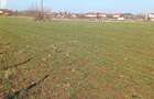 Teren intravilan 2500m in Ghermanesti IF 195000 - 2