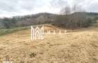Teren extravilan agricol 1.184 mp | Sibiel | utilitati la 100 m - 1
