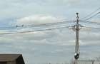 Teren de vanzare Odaile Otopeni Strada Ciprian Porumbescu - 3