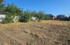 De Vanzare - Teren Intravilan 463mp Cazasu, Str.Cimbrisorului - 1