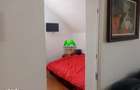Apartament de inchiriat la casa Pet Friendly Sibiu Lazaret - 4