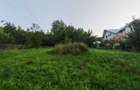 Teren 1.342 mp, Str. Pietrisului, Poiana Campina (Prahova) - 2