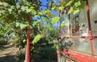 Casa cu gospodarie, livada ?i gradina, 106 mp Cost - 3