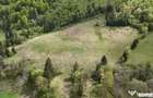 Extravilan + Intravilan | Satic-Rucar | Cadru natural | Turistic - Satic (Arges)