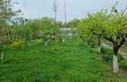 TEREN INTRAVILAN PREMIUM, ZONA 9 MAI, SUPRAFATA 1751 MP, IES - 6