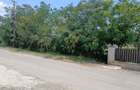 Teren intravilan 3.000 mp, Zalau Ortelec, zona Pe Deal / strada Deleni - 2
