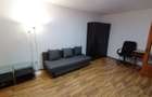 Lacul Tei inchiriere garsoniera Pet-Friendly - 5