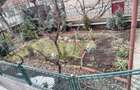 Casa excelentă locuibilă imediat, 2 unități separate, 140 mp, Baciu