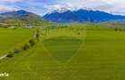 Teren 3000mp de vanzare in Rasnov / Panicel - 7