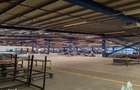 Fabrica Spatiu Industrial de Vanzare 6200 mp | Platforma 15000 mp | T