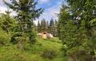 Casa, constructie, earthship. Cabana. - 5