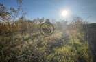 Teren intravilan de vanzare | 12.650 mp | Ghirdoveni | Comision 0%