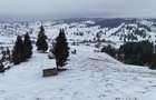 Teren extravilan de vanzare in Bucovina Breaza zona Paraul Negrei - 4