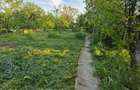 Casa cu 4 camere, mobilata, Mosteni, 35000 EUR - 10