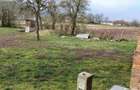 Casă cu 3 camere cu Teren 3222 Mp în Bretea Mureșană - 4