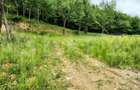 Teren zona de munte 1800 mp, cu apa de izvor, la Somesu Rece - 7